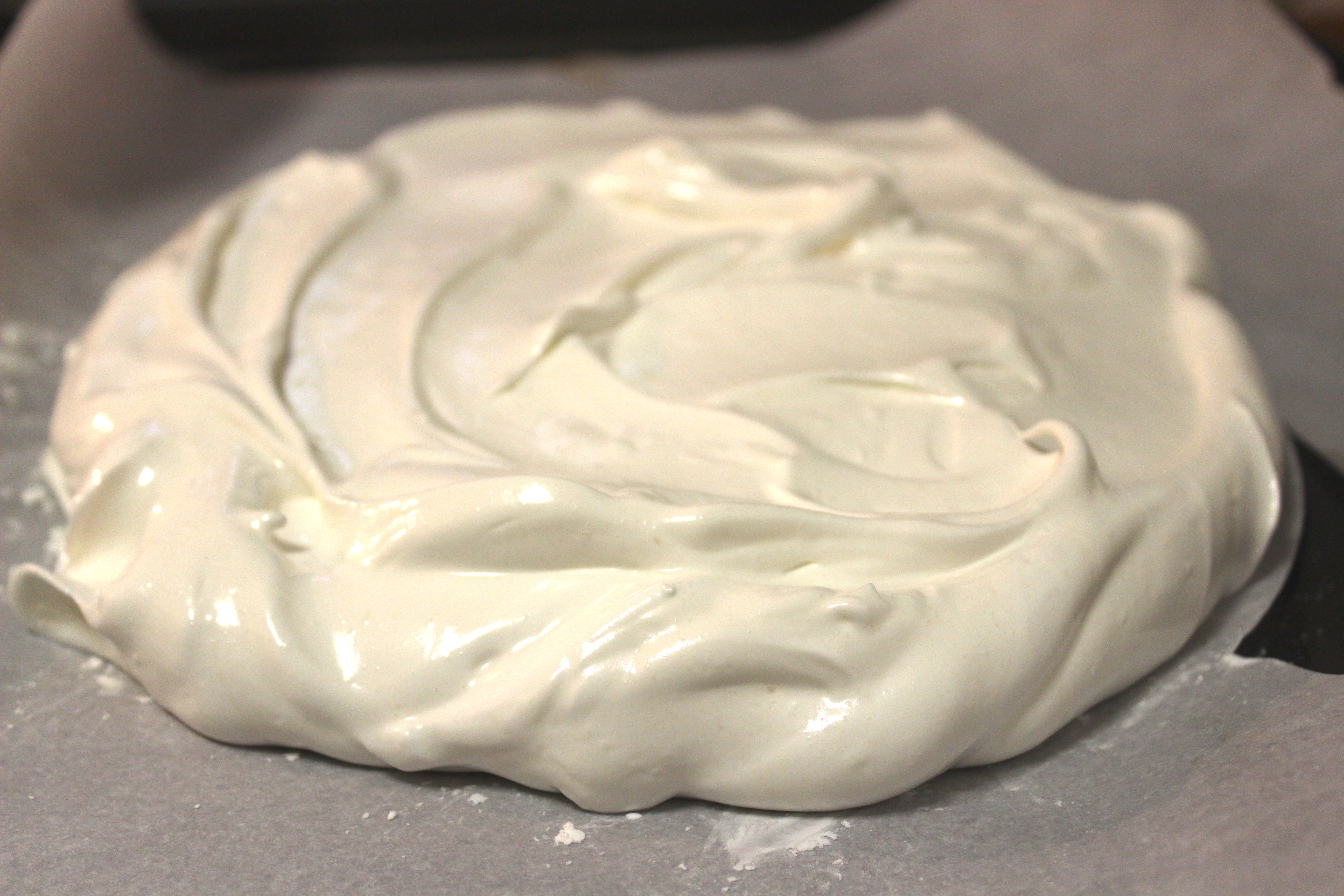IMG_0067 Pavlova