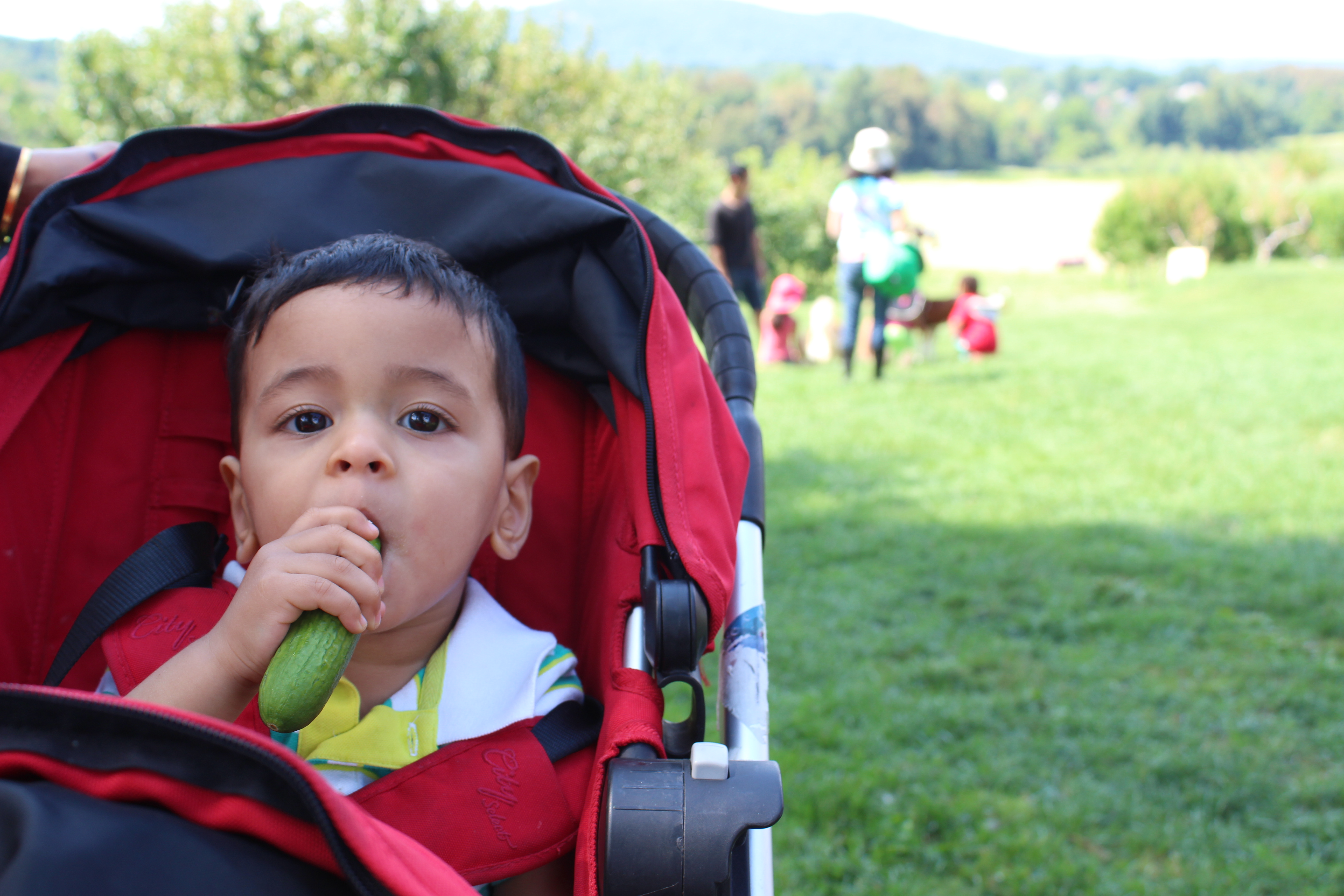 Fishkill Farms