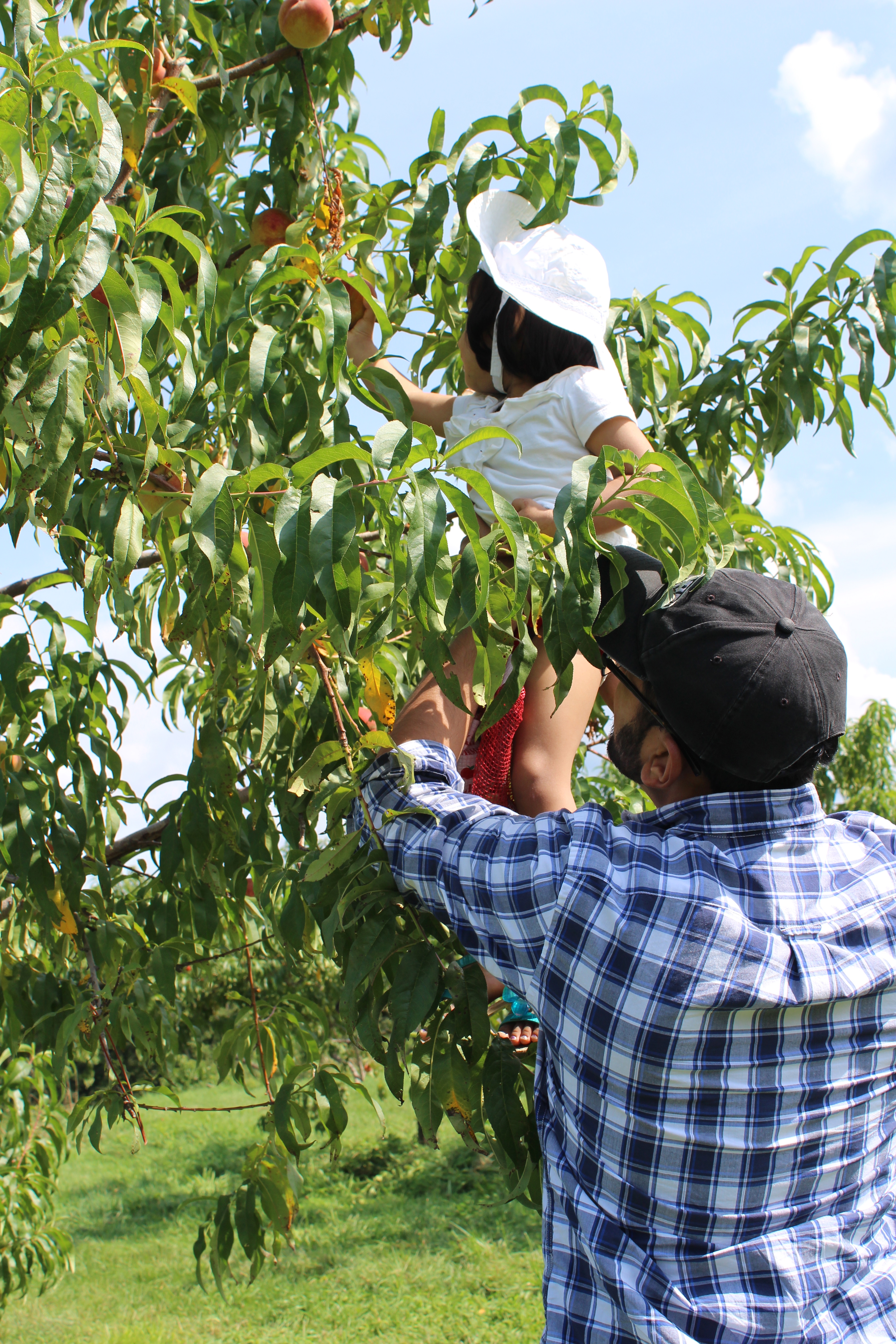 Fishkill Farms