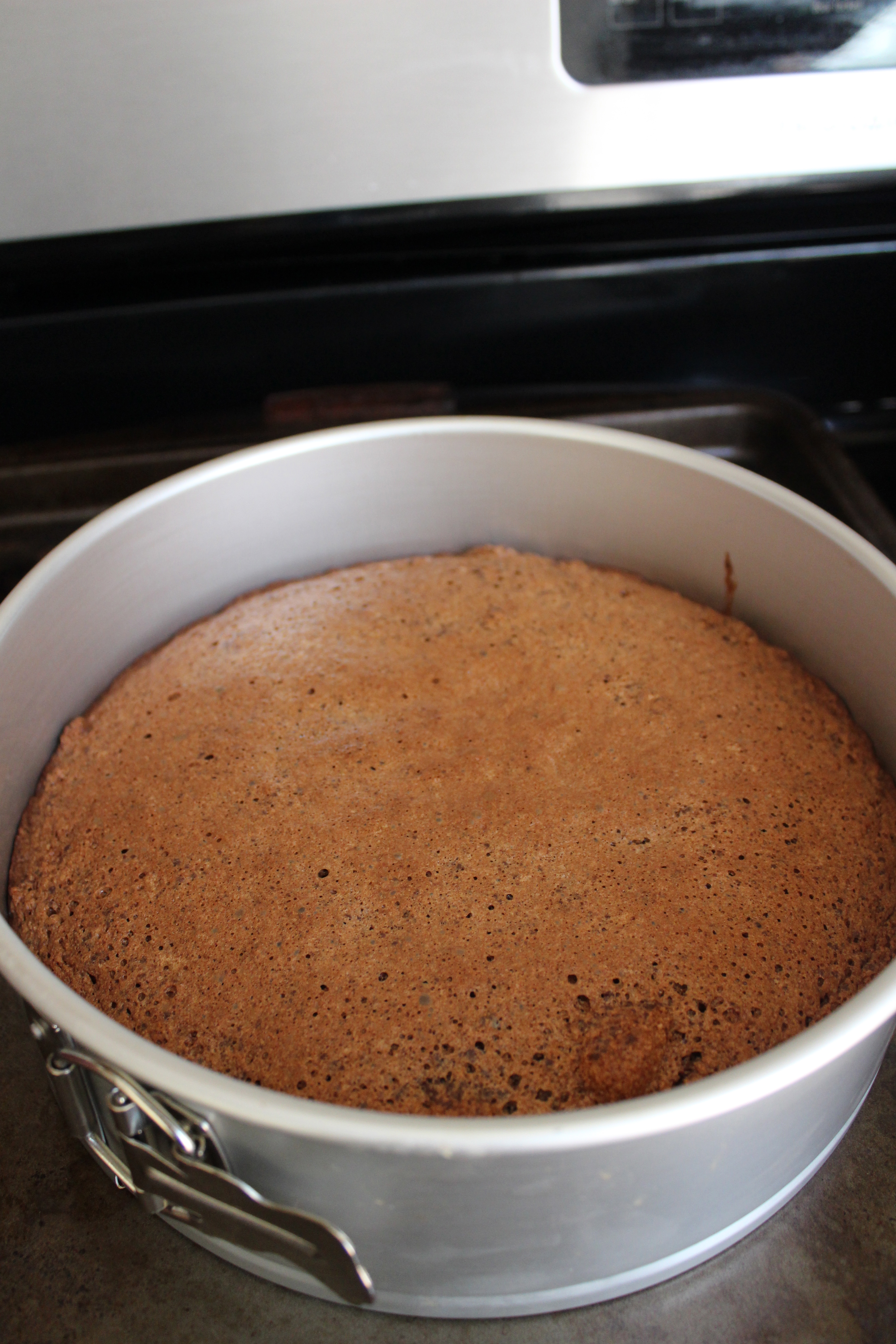 Chocolate Almond Torte & Giveaway!
