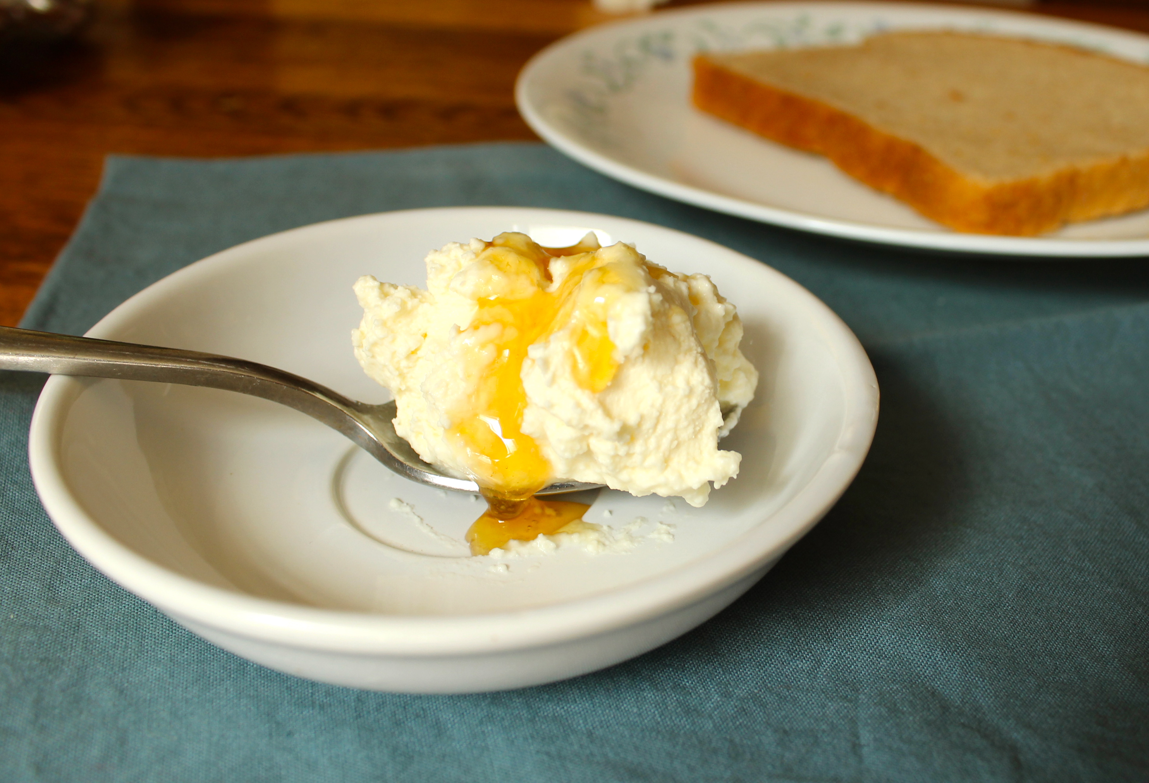 Homemade Ricotta (and a lasagna, too!)