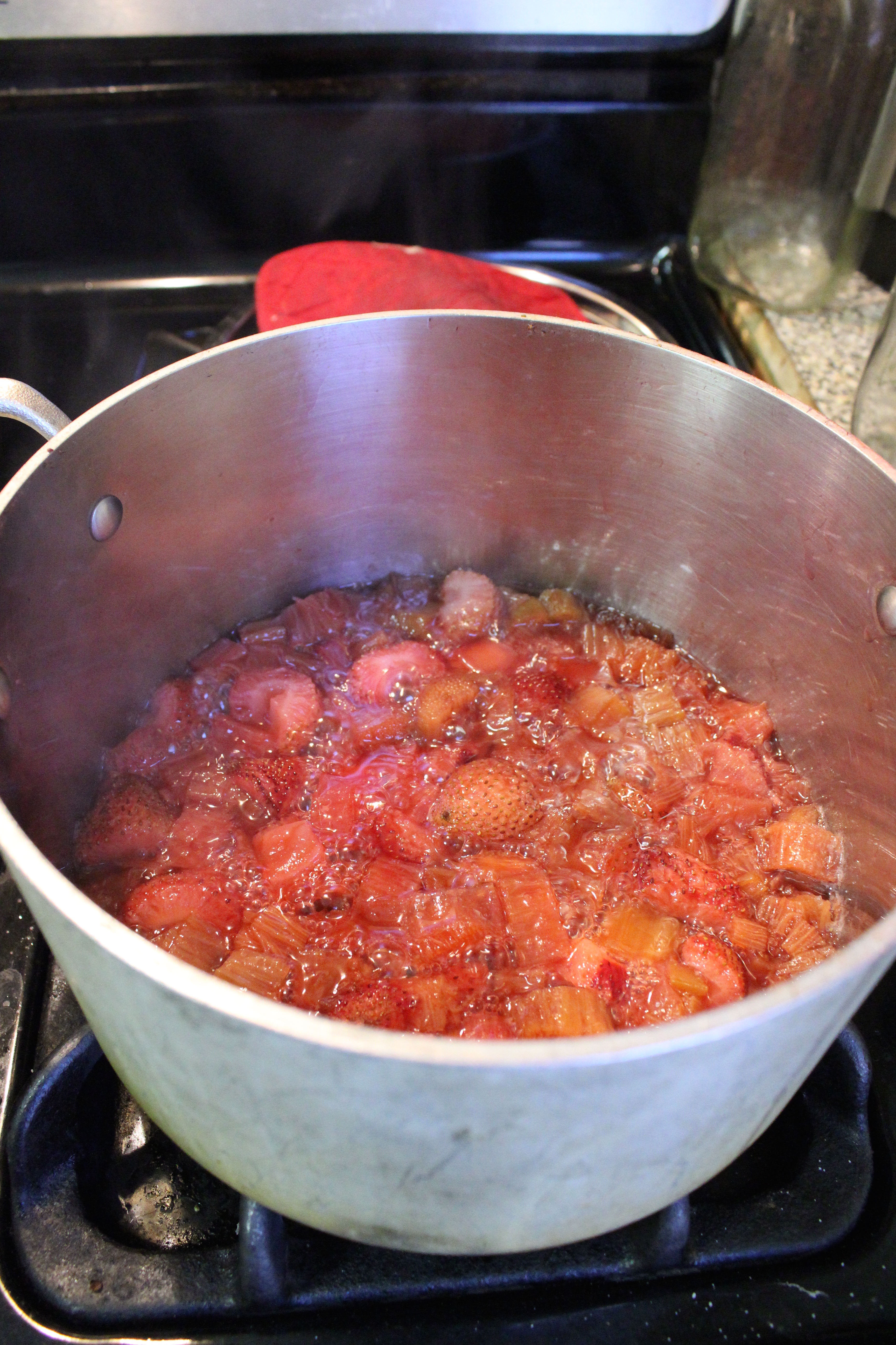 Strawberry Rhubarb Hand Pies